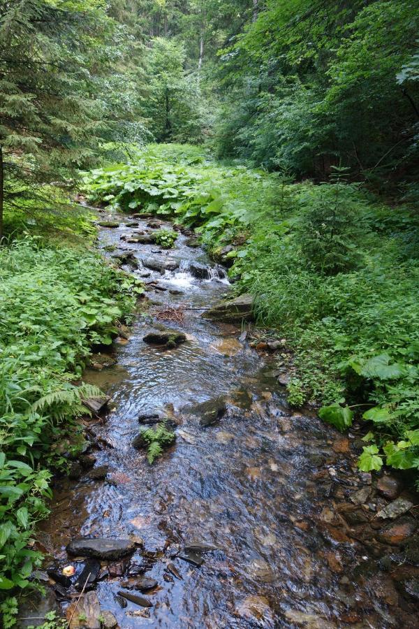 Penzion Chata Na Mlyne Horni Mesto Exterior foto